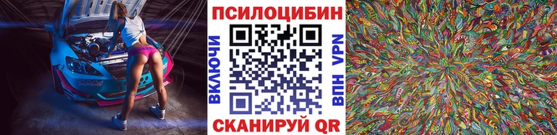 Галлюциногенные грибы Psilocybe  OMG рабочий сайт  Моршанск  где можно купить  